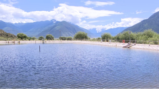 民生供水无忧生态绿意盎然