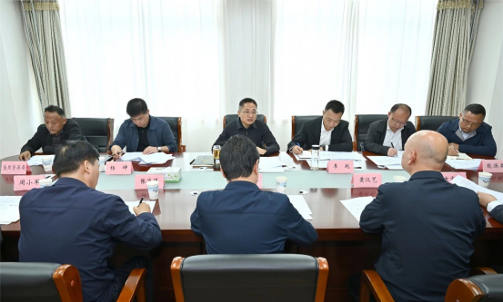 林芝市人民政府与大唐集团座谈