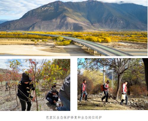 【辉煌60年·新时代林芝答卷】雪域江南六十载蝶变:巴宜区生态保护与绿色发展的西藏答卷