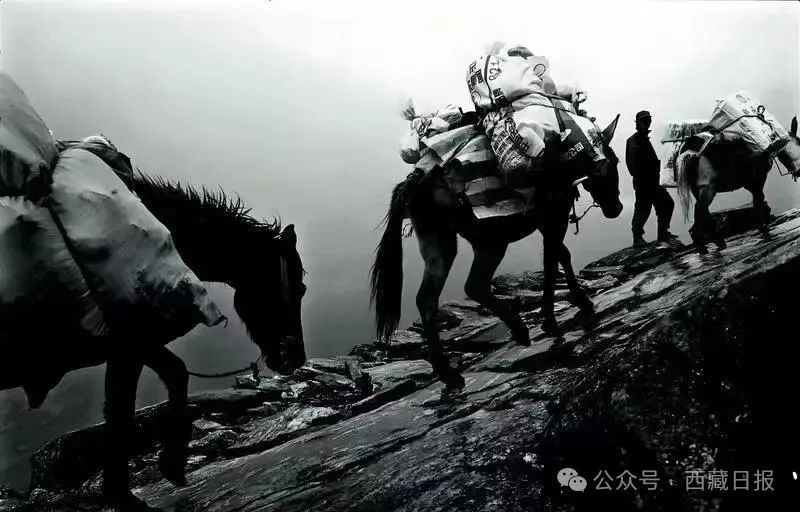 墨脱公路通车前，物资依靠人背马驮
