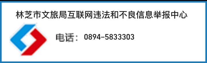 违法举报
