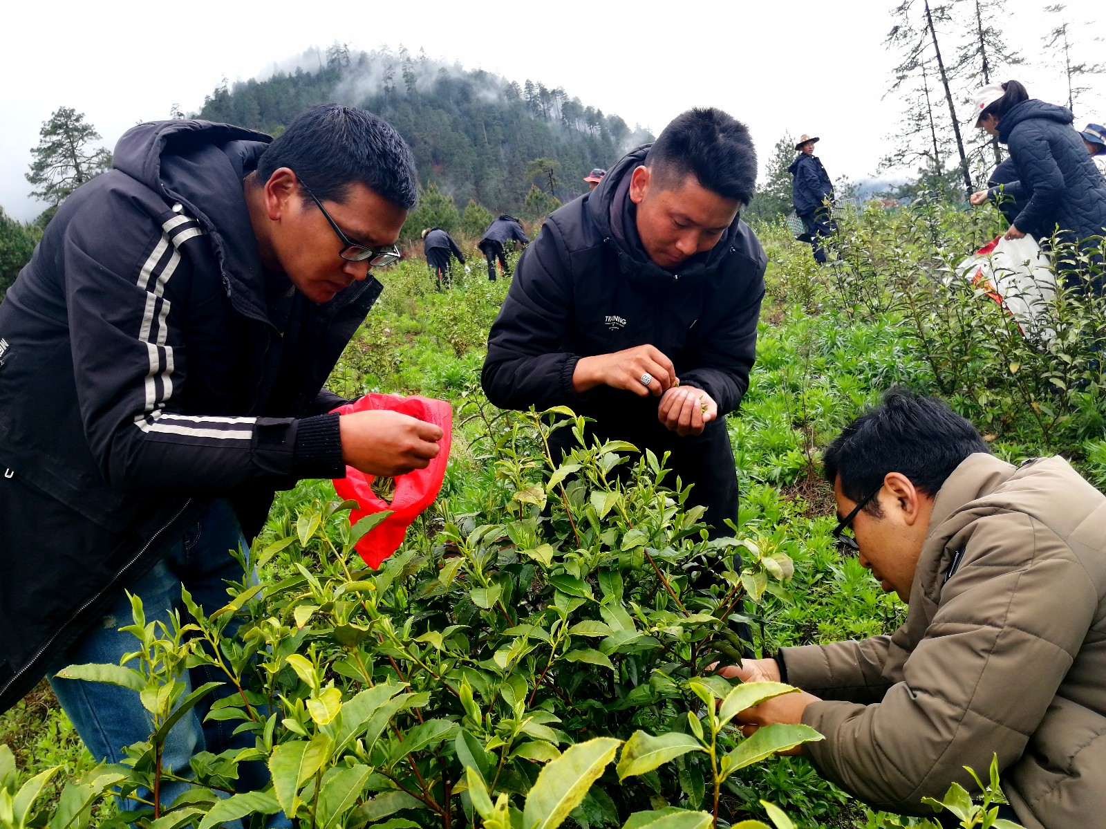 微信图片_20200408135226.jpg 微信图片_20200408135226.jpg