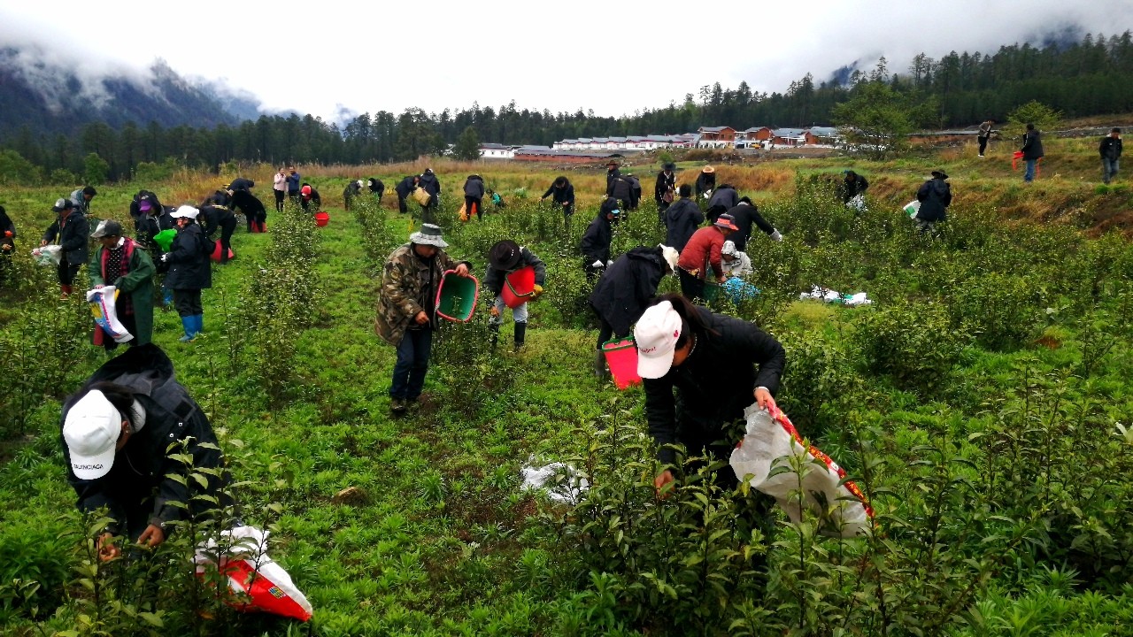 微信图片_20200408134319.jpg 微信图片_20200408134319.jpg