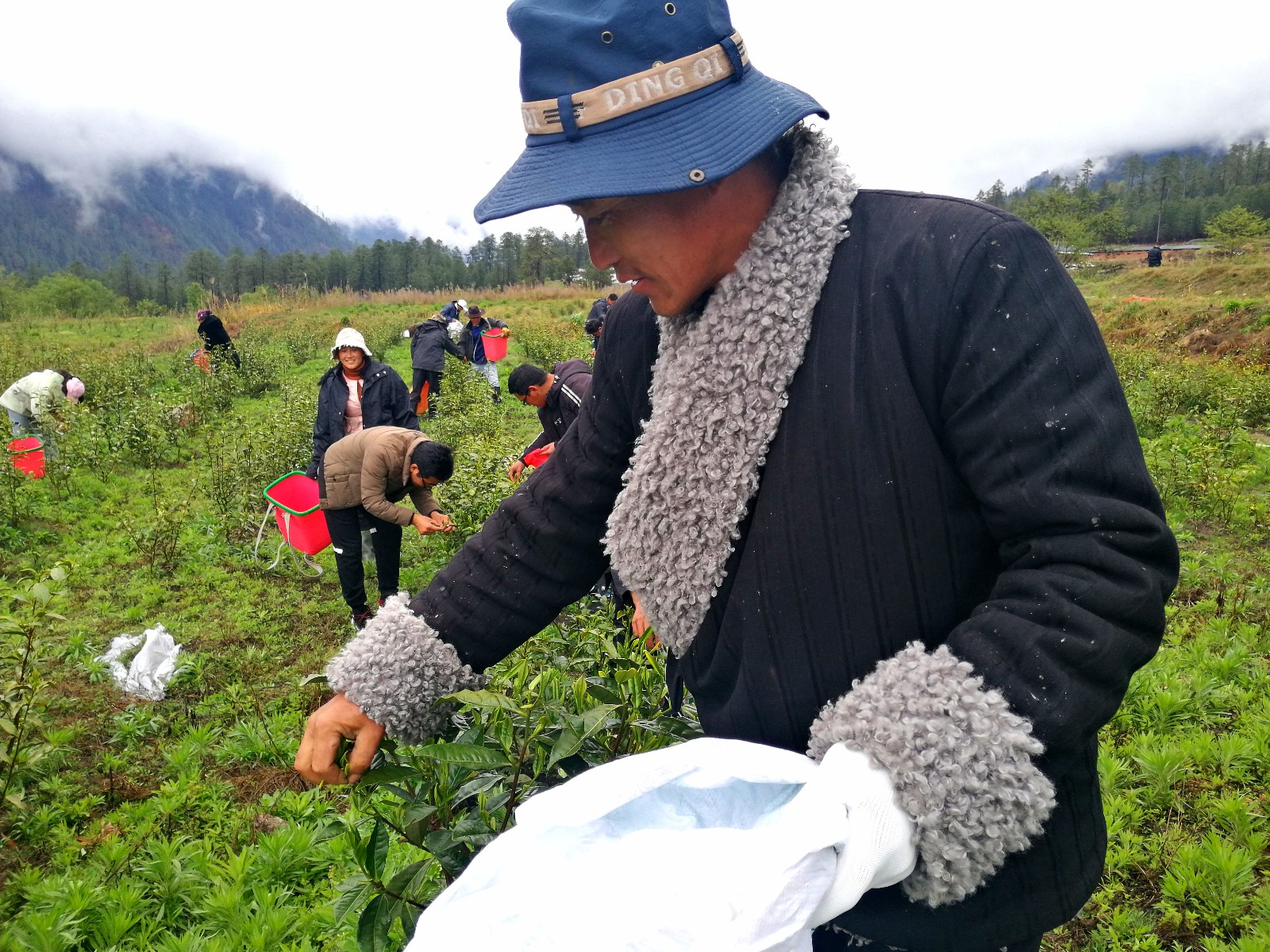 微信图片_20200408134931.jpg 微信图片_20200408134931.jpg