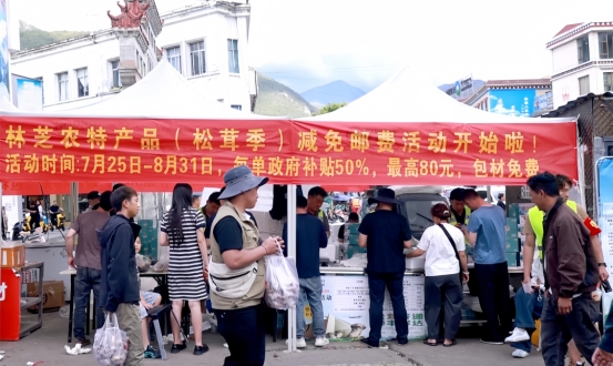 林芝：邮费减免赋能松茸香飘全国