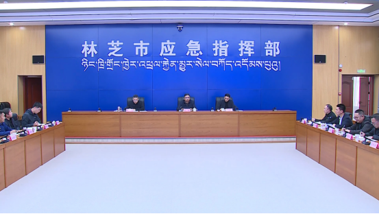 林芝市召开2026年中秋国庆安全生产大检查工作部署会