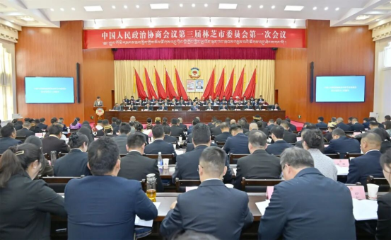 巴塔参加市政协三届一次会议中共界小组讨论
