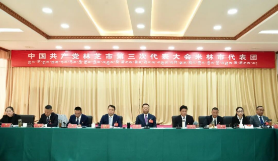 巴塔参加米林市代表团、巴宜区代表团讨论